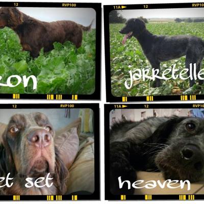 Iron, Jetset, Jarretelle et Haeven
